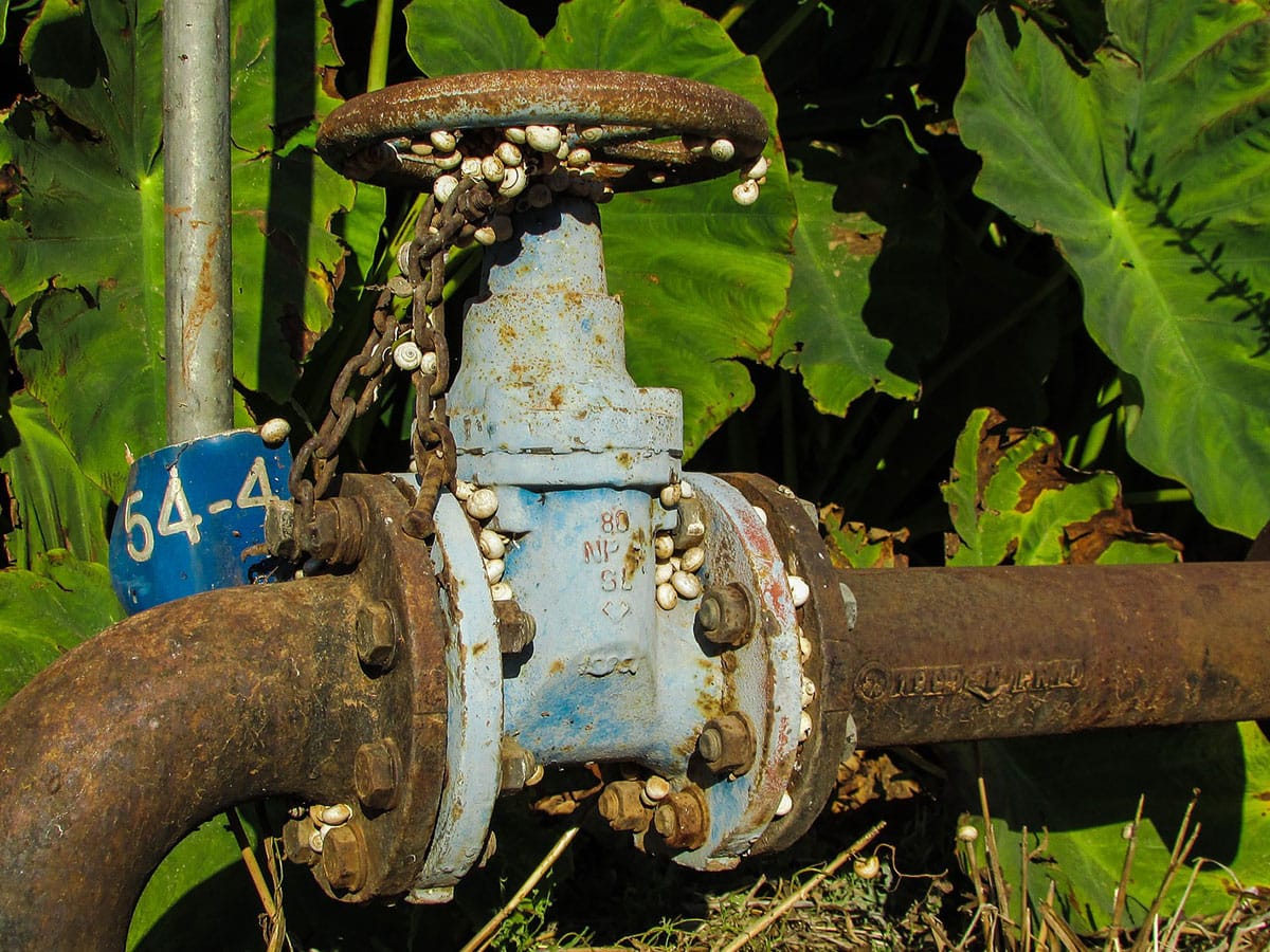 How To Remove Brown Rust Stains From Your Plumbing Fixtures